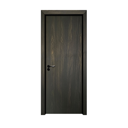 Flush Door with Frame